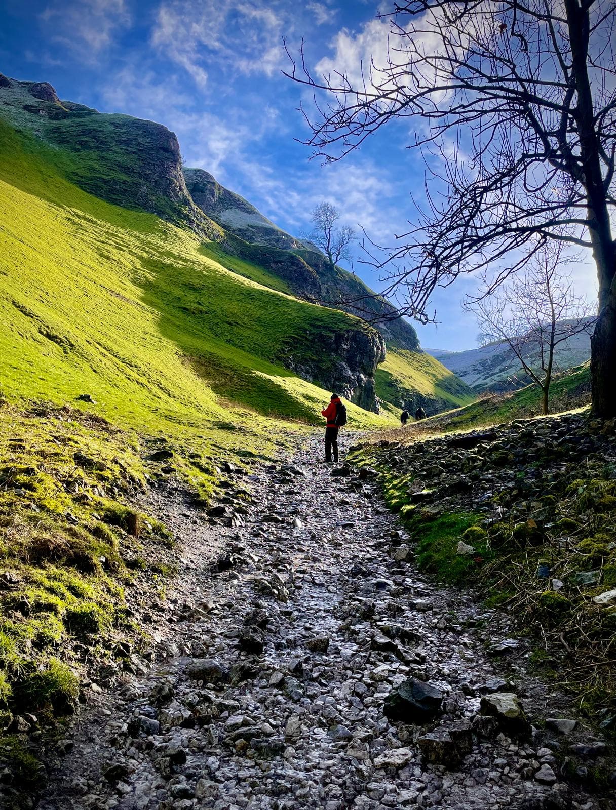 Rocky path through green hills under a blue sky