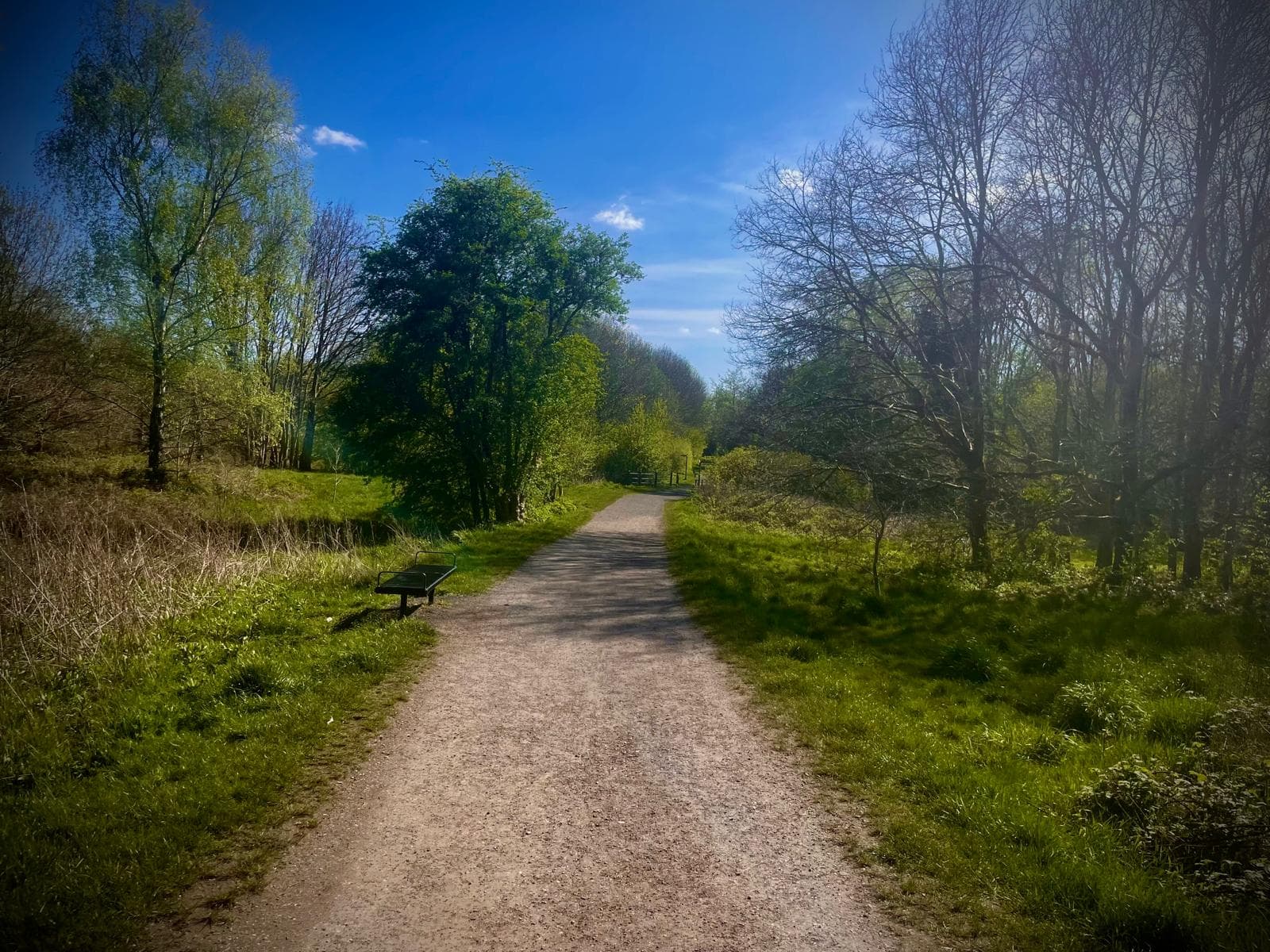 Sunlit gravel path through trees with a wooden bench, blue sky overhead